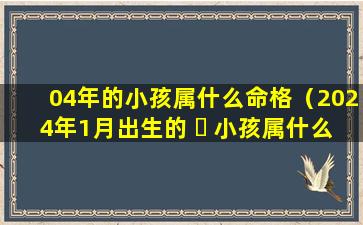 04年的小孩属什么命格（2024年1月出生的 ☘ 小孩属什么）